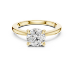 Load image into Gallery viewer, Golden Reverie ring